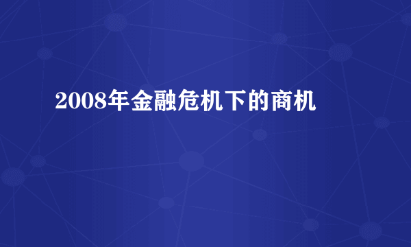 2008年金融危机下的商机