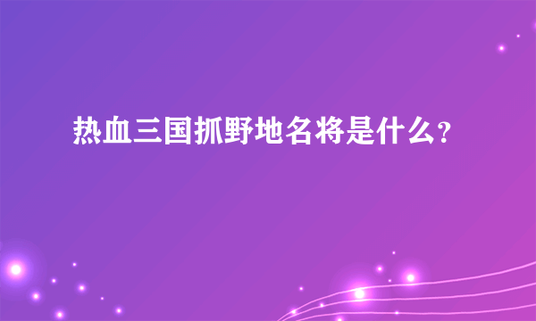 热血三国抓野地名将是什么？