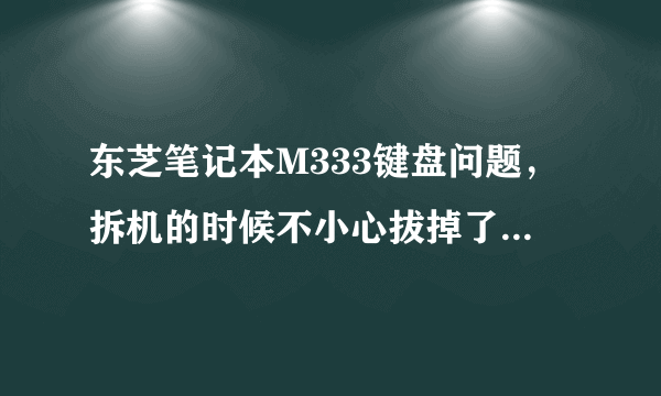 东芝笔记本M333键盘问题，拆机的时候不小心拔掉了键盘，不知道怎么解决？