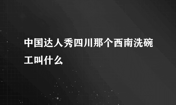 中国达人秀四川那个西南洗碗工叫什么