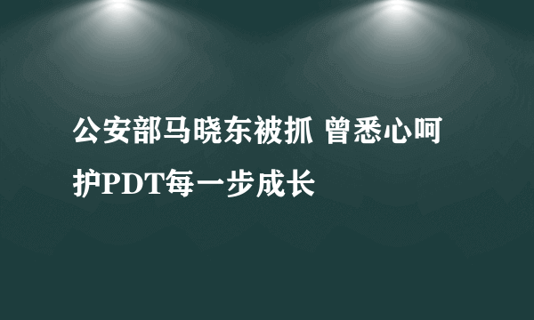 公安部马晓东被抓 曾悉心呵护PDT每一步成长