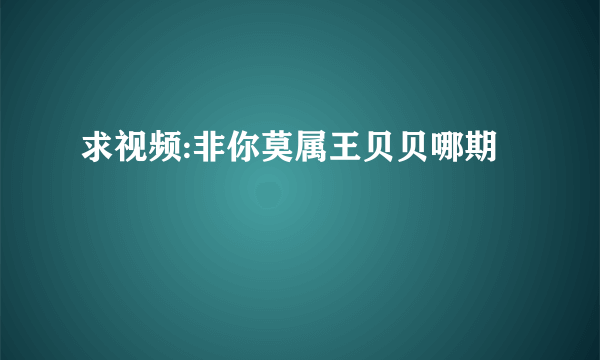 求视频:非你莫属王贝贝哪期