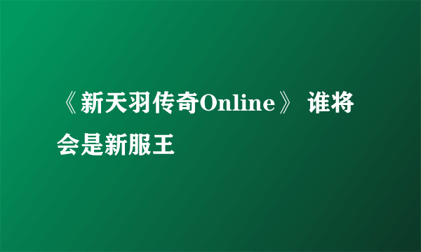 《新天羽传奇Online》 谁将会是新服王