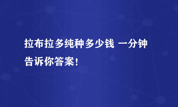 拉布拉多纯种多少钱 一分钟告诉你答案！