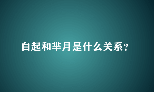 白起和芈月是什么关系？