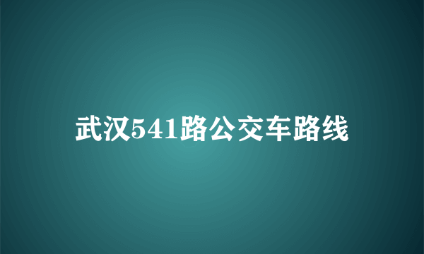 武汉541路公交车路线