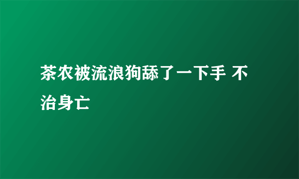 茶农被流浪狗舔了一下手 不治身亡