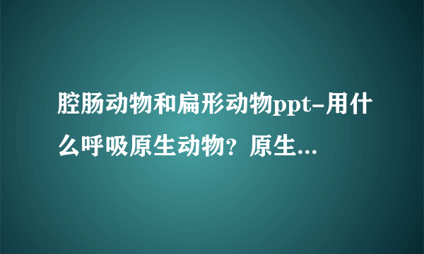 腔肠动物和扁形动物ppt-用什么呼吸原生动物？原生动物、扁形动物、腔？