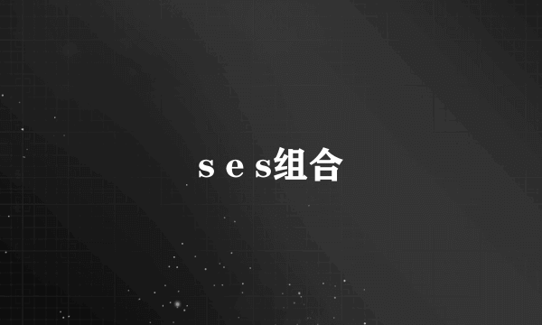 s e s组合