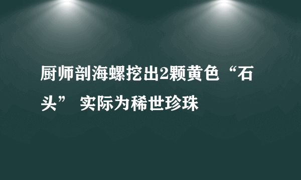 厨师剖海螺挖出2颗黄色“石头” 实际为稀世珍珠