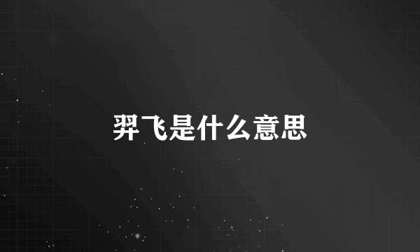 羿飞是什么意思