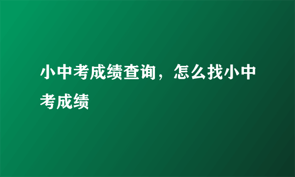 小中考成绩查询，怎么找小中考成绩