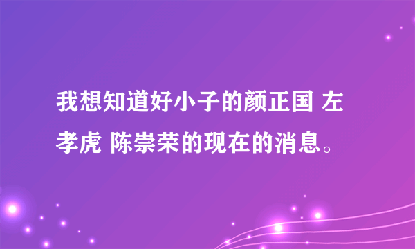 我想知道好小子的颜正国 左孝虎 陈崇荣的现在的消息。