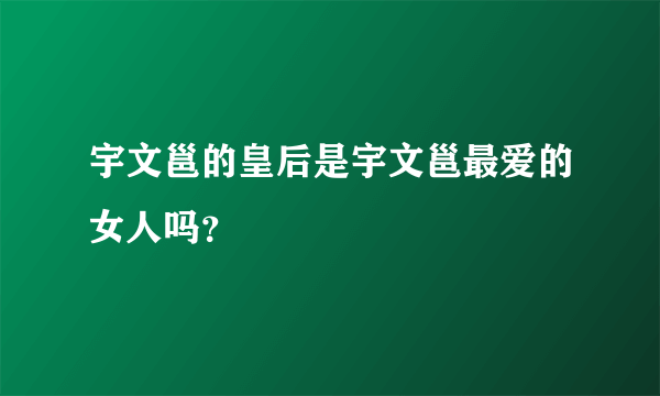 宇文邕的皇后是宇文邕最爱的女人吗？