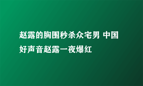 赵露的胸围秒杀众宅男 中国好声音赵露一夜爆红