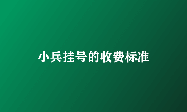 小兵挂号的收费标准