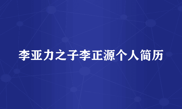 李亚力之子李正源个人简历