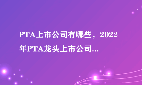 PTA上市公司有哪些，2022年PTA龙头上市公司名单-飞外网