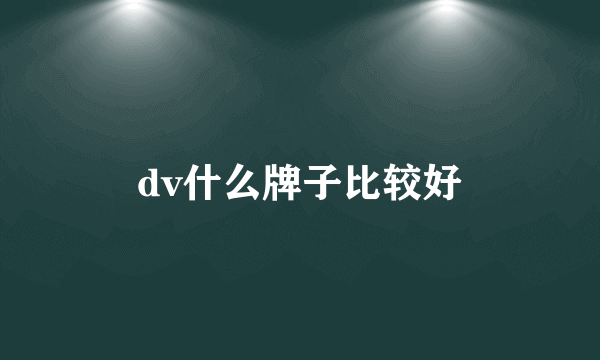 dv什么牌子比较好