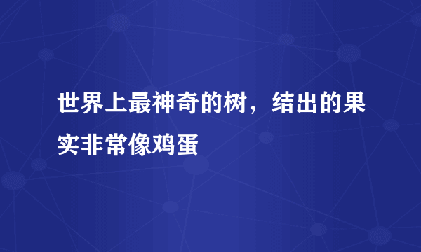 世界上最神奇的树，结出的果实非常像鸡蛋