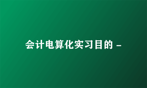 会计电算化实习目的 -