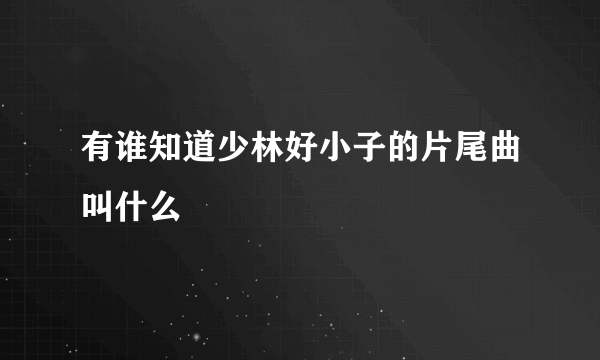 有谁知道少林好小子的片尾曲叫什么