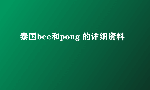 泰国bee和pong 的详细资料