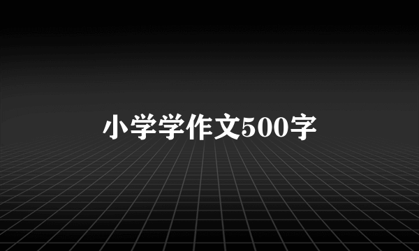 小学学作文500字