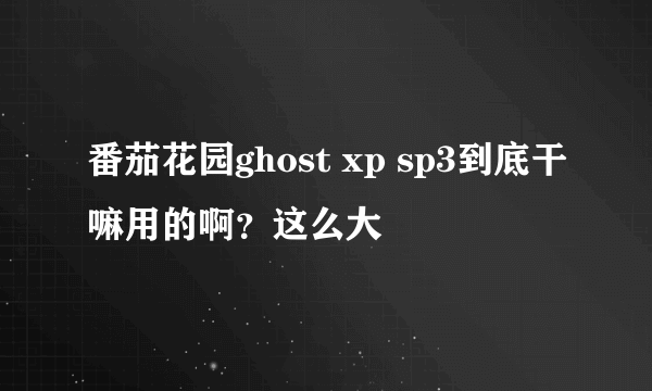 番茄花园ghost xp sp3到底干嘛用的啊？这么大