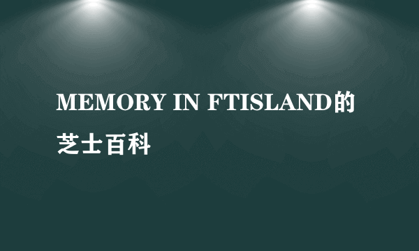 MEMORY IN FTISLAND的芝士百科