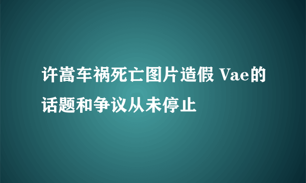 许嵩车祸死亡图片造假 Vae的话题和争议从未停止