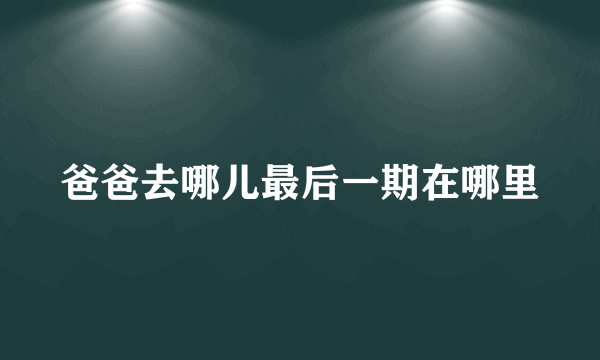 爸爸去哪儿最后一期在哪里