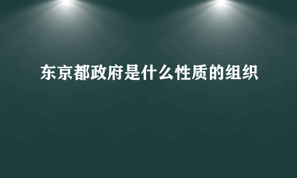 东京都政府是什么性质的组织