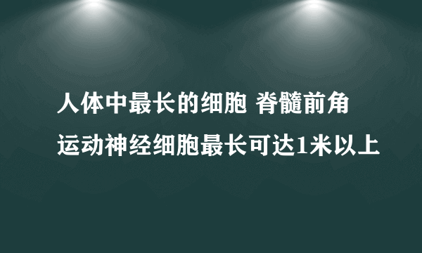 人体中最长的细胞 脊髓前角运动神经细胞最长可达1米以上