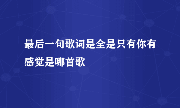 最后一句歌词是全是只有你有感觉是哪首歌