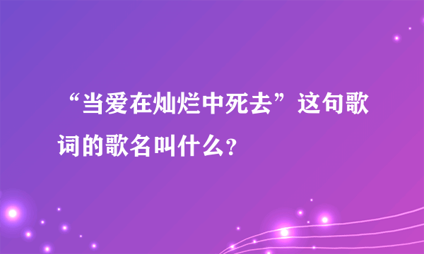 “当爱在灿烂中死去”这句歌词的歌名叫什么？