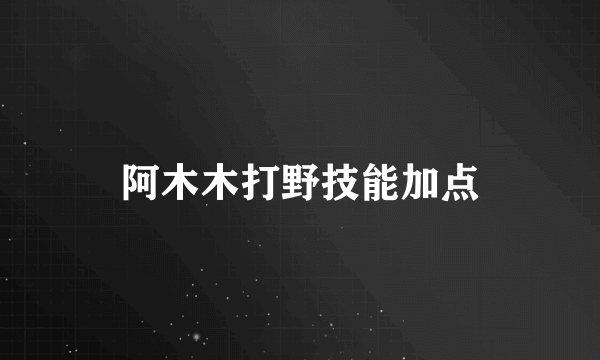 阿木木打野技能加点