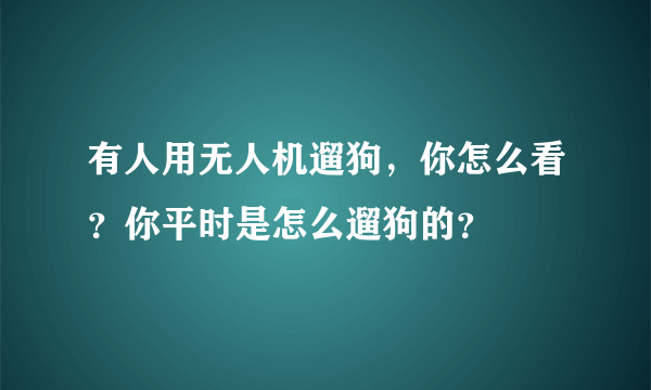 有人用无人机遛狗，你怎么看？你平时是怎么遛狗的？