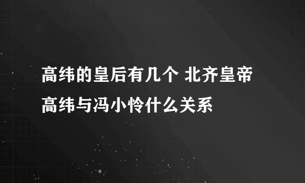 高纬的皇后有几个 北齐皇帝高纬与冯小怜什么关系