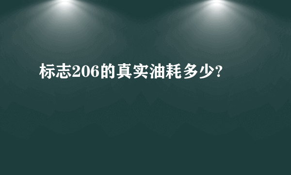 标志206的真实油耗多少?