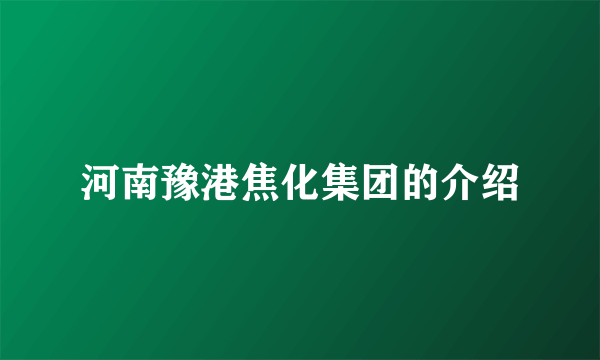 河南豫港焦化集团的介绍