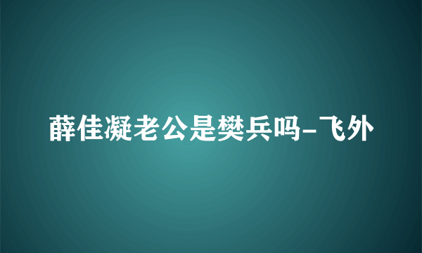 薛佳凝老公是樊兵吗-飞外