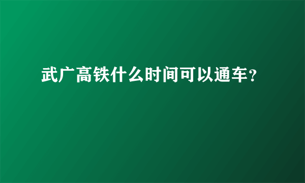 武广高铁什么时间可以通车？