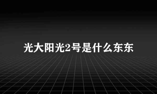 光大阳光2号是什么东东