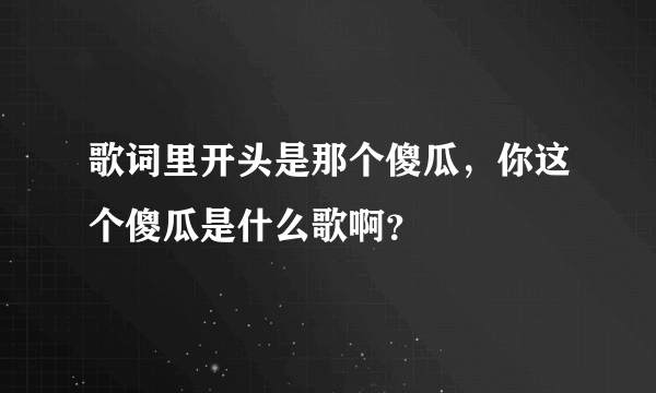 歌词里开头是那个傻瓜，你这个傻瓜是什么歌啊？