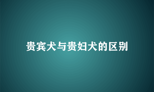 贵宾犬与贵妇犬的区别