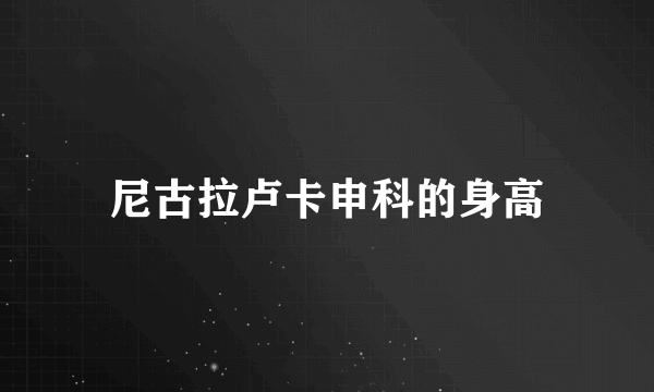 尼古拉卢卡申科的身高