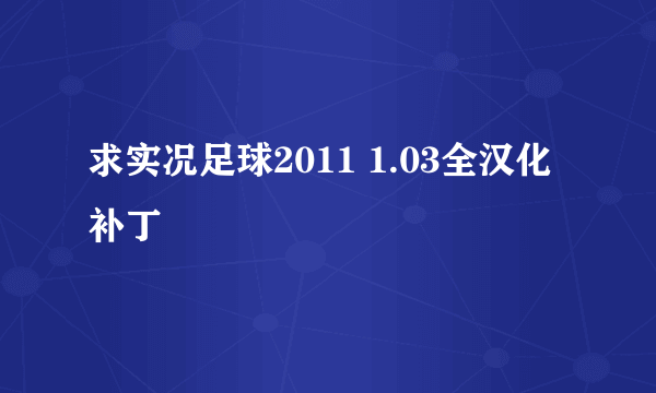 求实况足球2011 1.03全汉化补丁