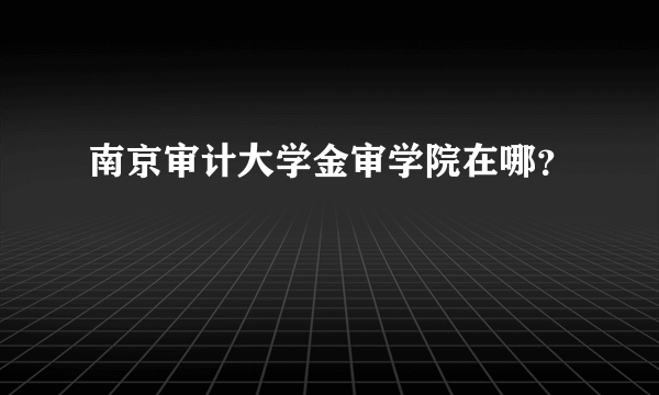 南京审计大学金审学院在哪？