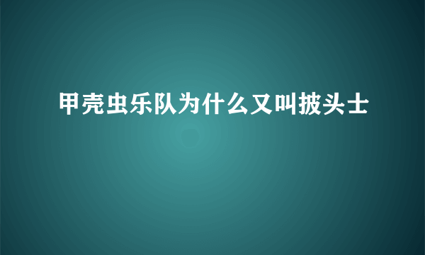 甲壳虫乐队为什么又叫披头士